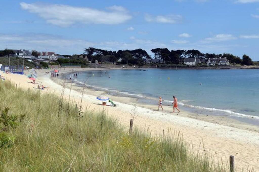 Appartement T1 Bis 30M2 100M Du Port 700M Plage 滨海拉特里尼泰 外观 照片